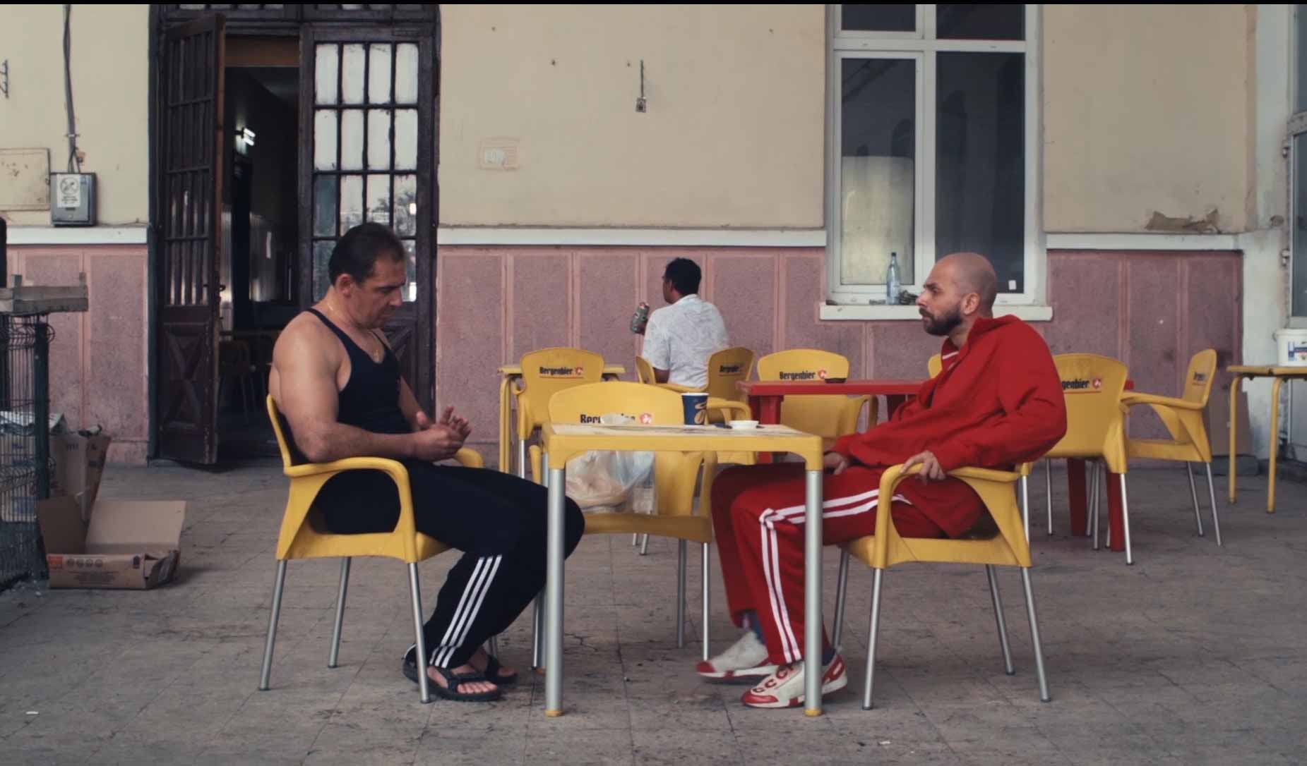 Carne de iepure de Gabriel Achim Carne de iepure de Gabriel Achim