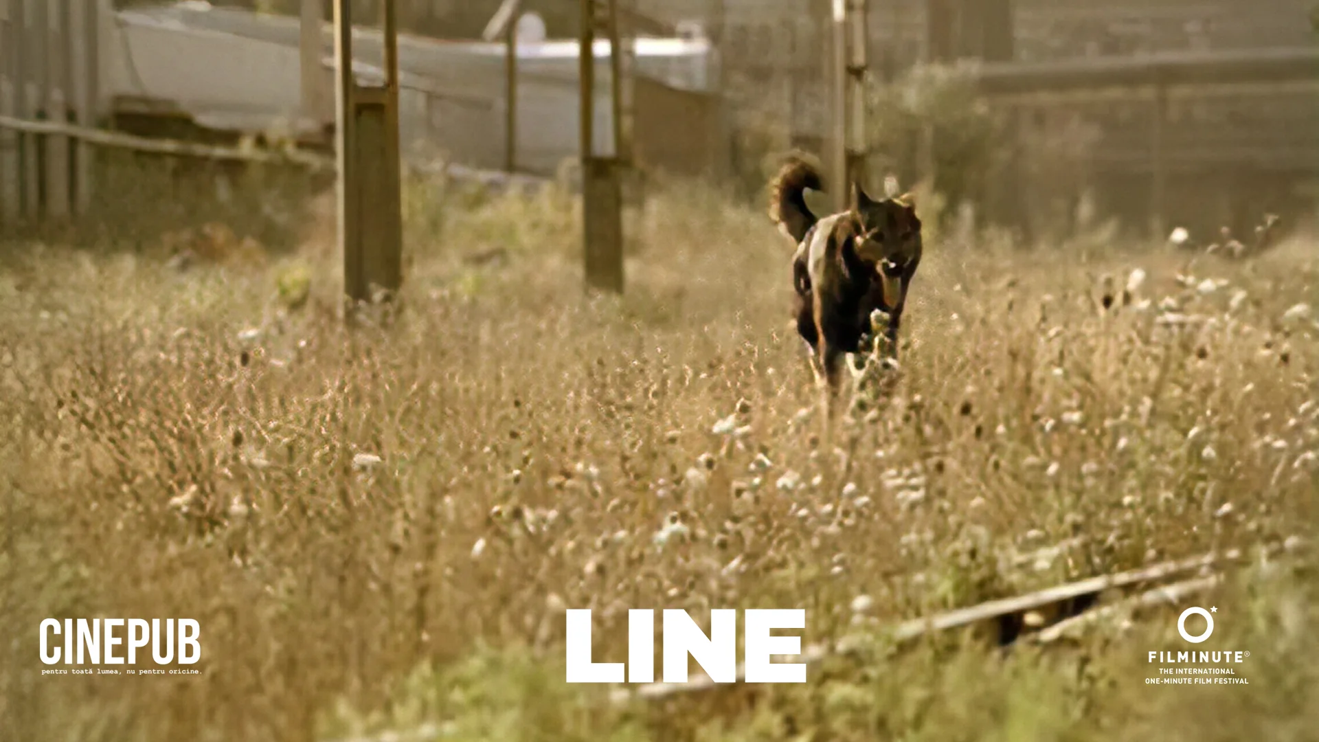 LINE - FILMINUTE & CINEPUB