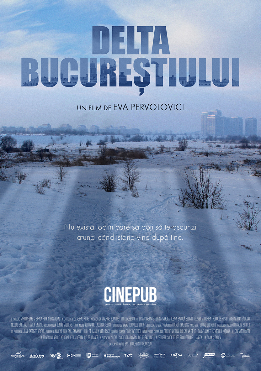 Delta Bucureștiului - de Eva Pervolovici - documentar online pe CINEPUB