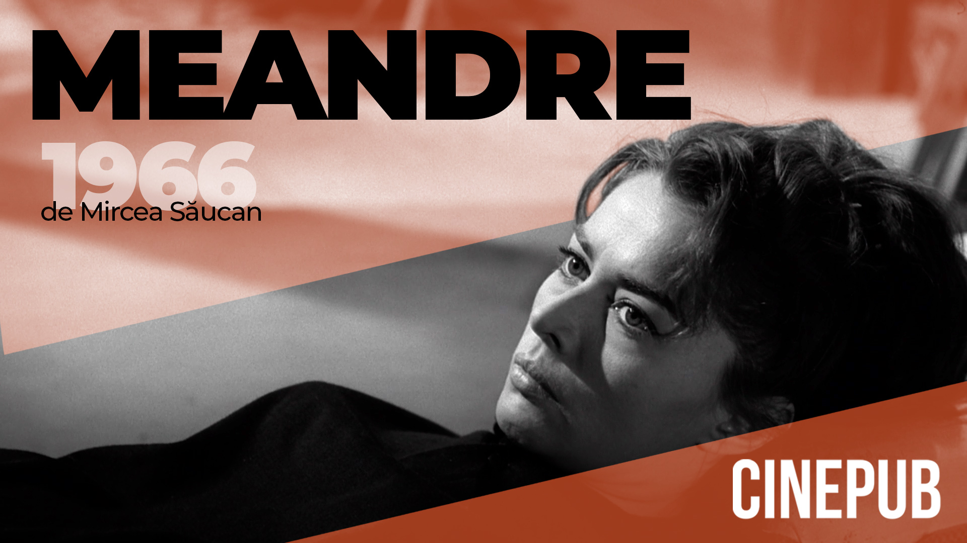Meandre (1966) - de Mircea Saucan - film drama online pe CINEPUB