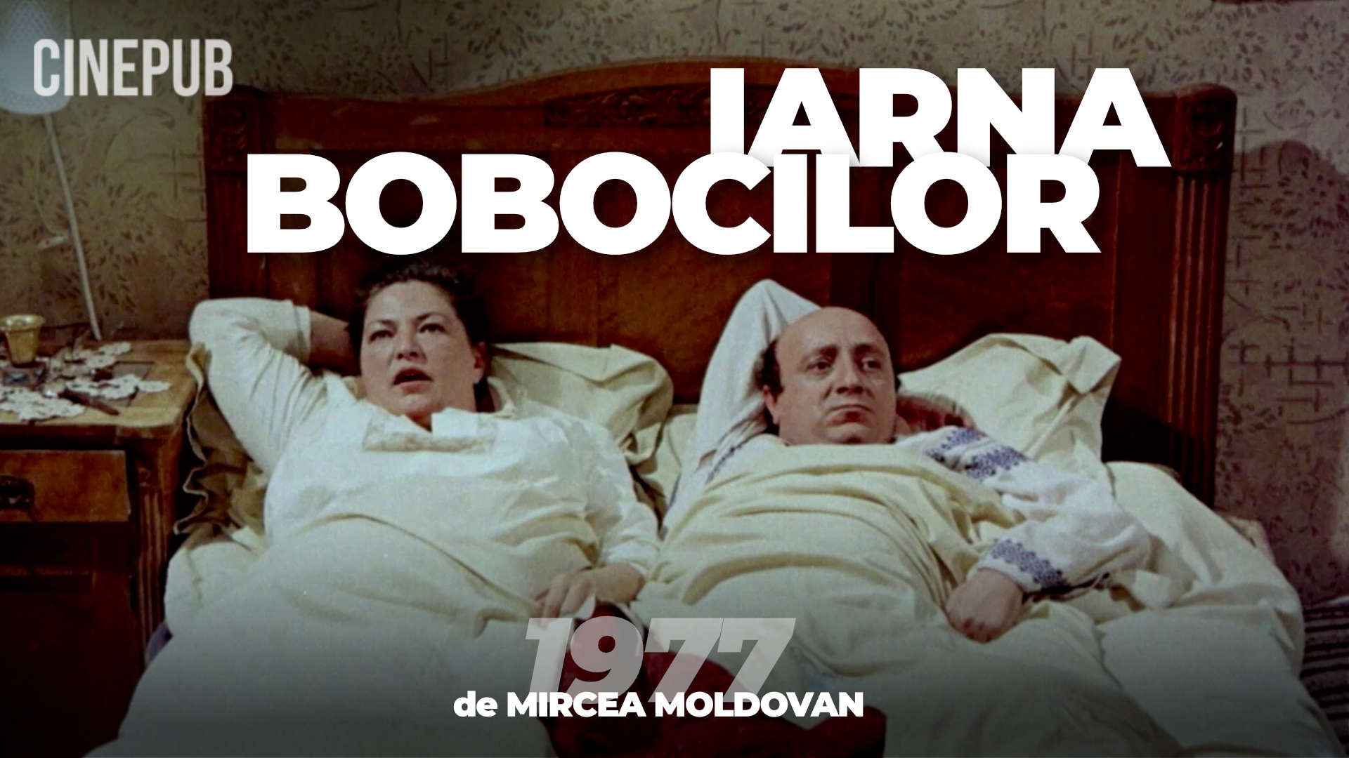 Iarna Bobocilor (1977) de Mircea Moldovan - film comedie online pe CINEPUB