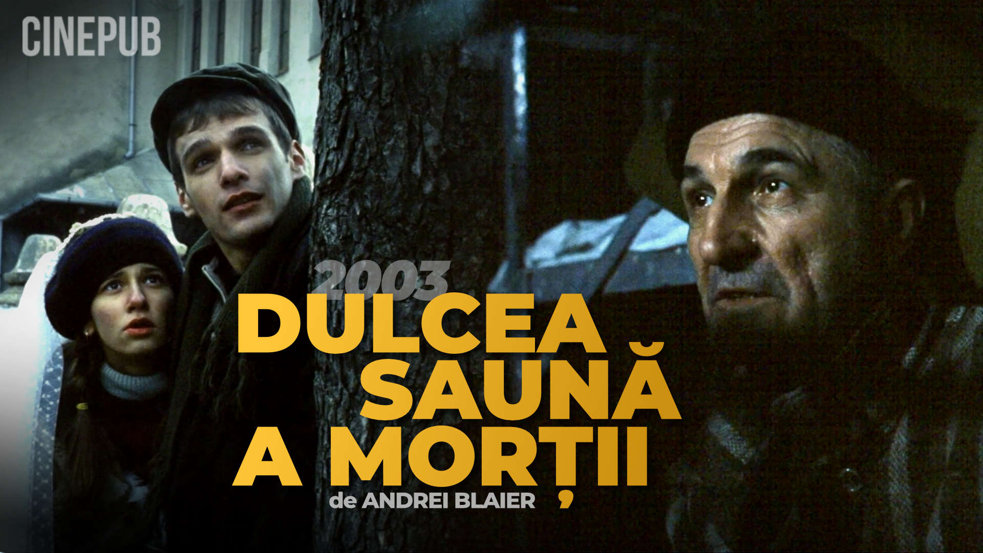 Dulcea saună a morții (2003) de Andrei Blaier - film dramă online pe CINEPUB