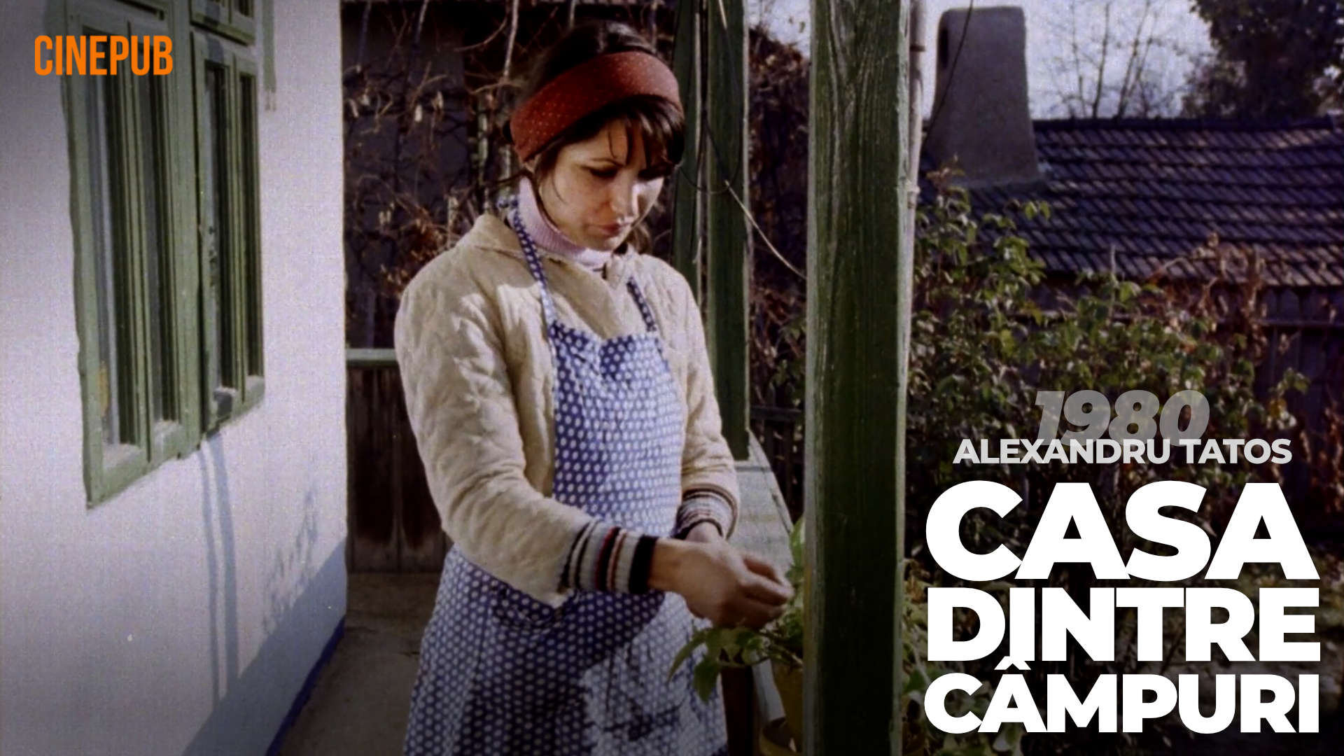 Casa dintre câmpuri (1980) de Alexandru Tatos - film dramă online pe CINEPUB Casa dintre câmpuri (1980) de Alexandru Tatos - film dramă online pe CINEPUB